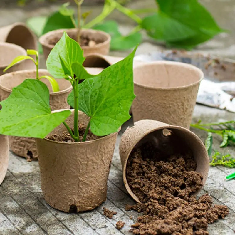 Eco-Friendly Biodegradable Plant Pots  Pulp Seedling Starter Cups Breathable for Healthy Plant Growth Balcony Garden