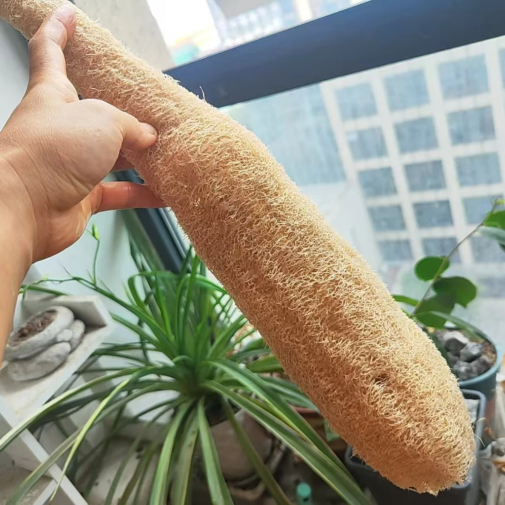 35-40cm Natural Loofah Sponge 100% Plant Fiber Fluffy After Washing Eco-Friendly for Bath Kitchen Cleaning Reusable Scrubber