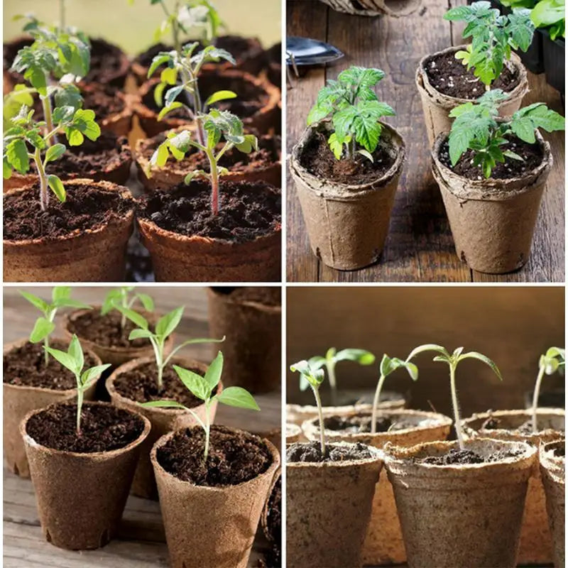 Eco-Friendly Biodegradable Plant Pots  Pulp Seedling Starter Cups Breathable for Healthy Plant Growth Balcony Garden
