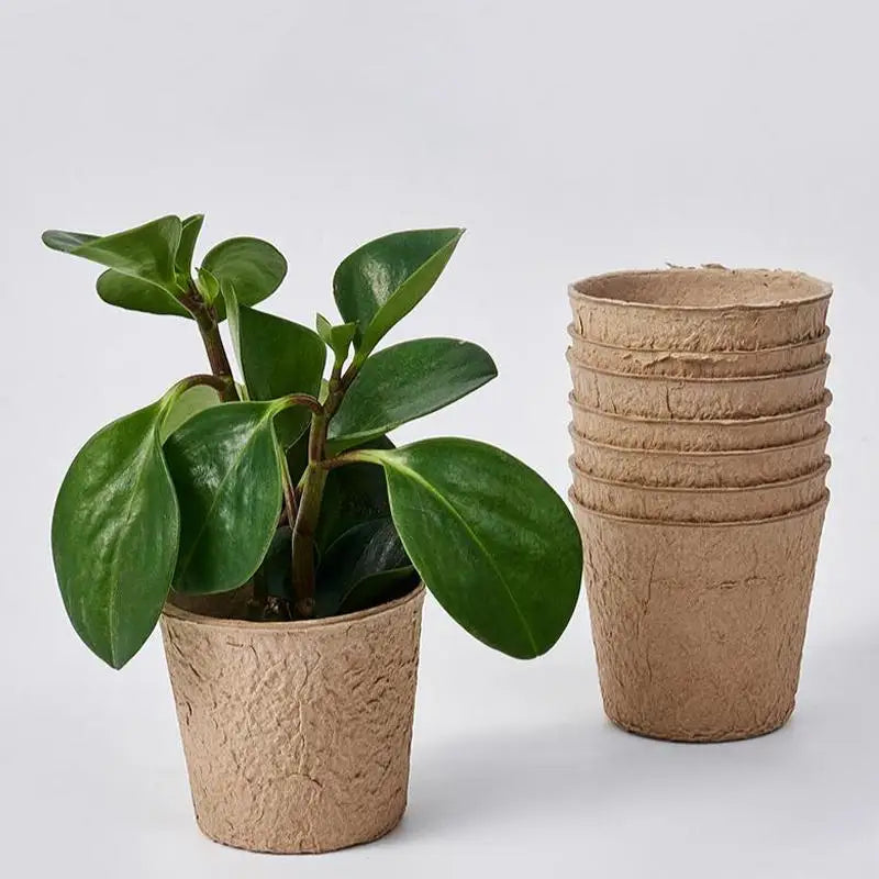 Eco-Friendly Biodegradable Plant Pots  Pulp Seedling Starter Cups Breathable for Healthy Plant Growth Balcony Garden