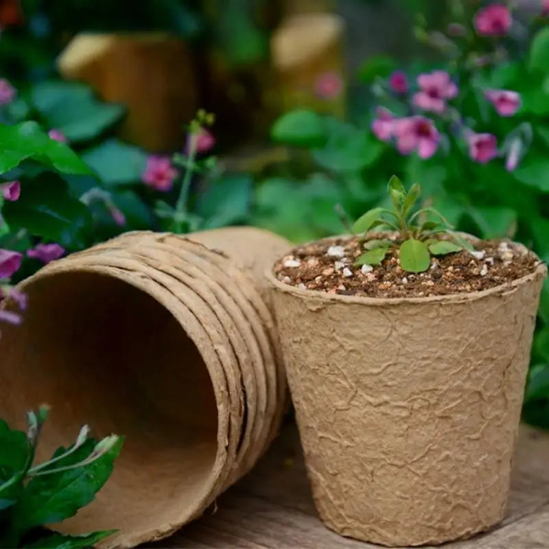 Eco-Friendly Biodegradable Plant Pots  Pulp Seedling Starter Cups Breathable for Healthy Plant Growth Balcony Garden