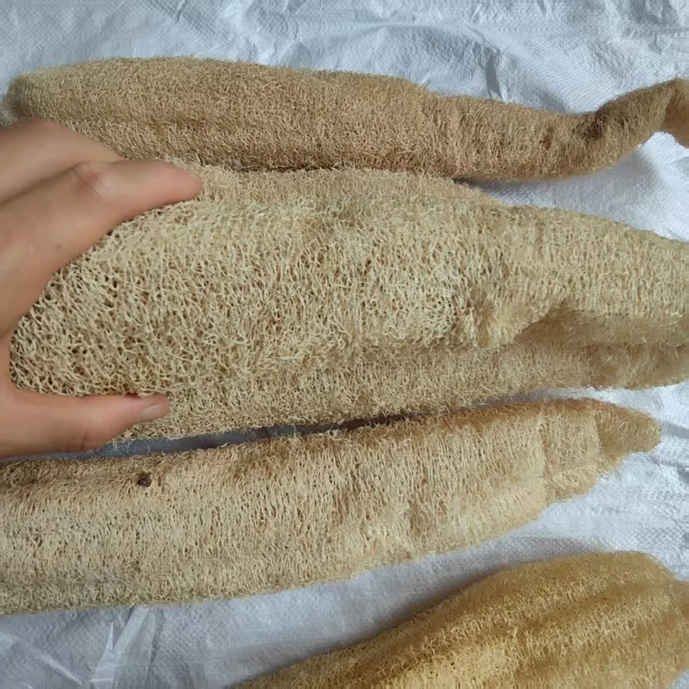 35-40cm Natural Loofah Sponge 100% Plant Fiber Fluffy After Washing Eco-Friendly for Bath Kitchen Cleaning Reusable Scrubber