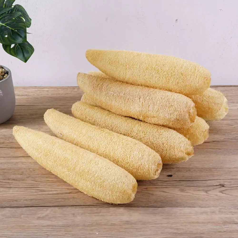Natural Loofah Luffa Sponge Long Non-stick Body Shower Sponge Good Absorbency Ecological Planting Dishwashing Artifact