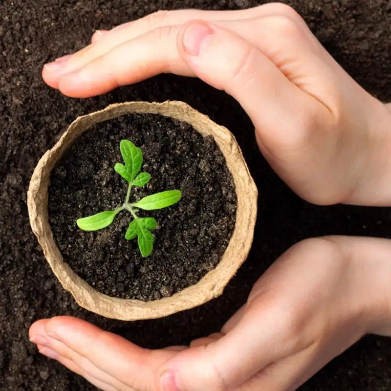 Eco-Friendly Biodegradable Plant Pots  Pulp Seedling Starter Cups Breathable for Healthy Plant Growth Balcony Garden