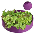 Eco-friendly Garden Grow Bags 1Pcs Circular Large Felt Planting Pot Non-toxic Planter for Home Vegetable Fruit Horticulture