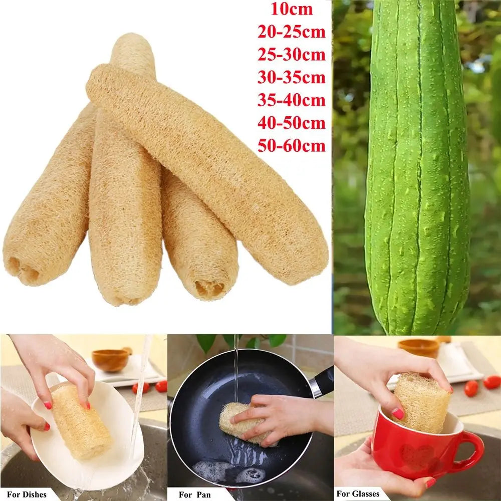 Natural Loofah Luffa Sponge Long Non-stick Body Shower Sponge Good Absorbency Ecological Planting Dishwashing Artifact