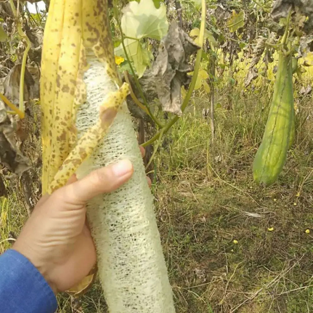 Natural Loofah Luffa Sponge Long Non-stick Body Shower Sponge Good Absorbency Ecological Planting Dishwashing Artifact