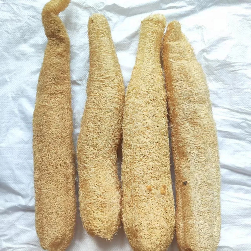 35-40cm Natural Loofah Sponge 100% Plant Fiber Fluffy After Washing Eco-Friendly for Bath Kitchen Cleaning Reusable Scrubber